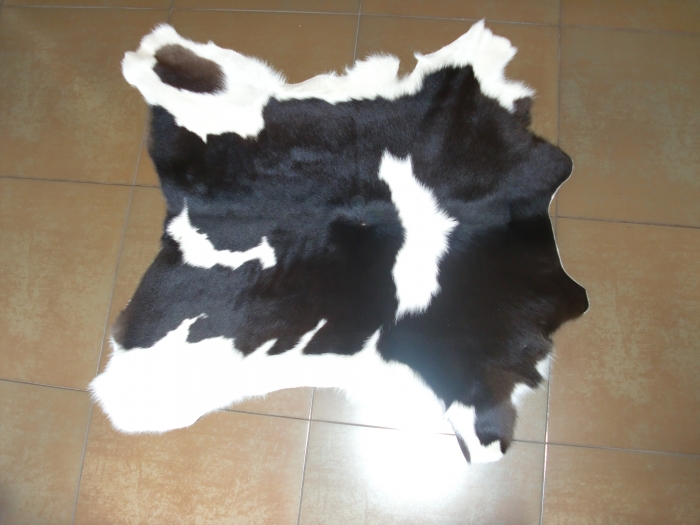 Cow hide black and white